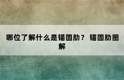 哪位了解什么是锚固肋？ 锚固肋图解